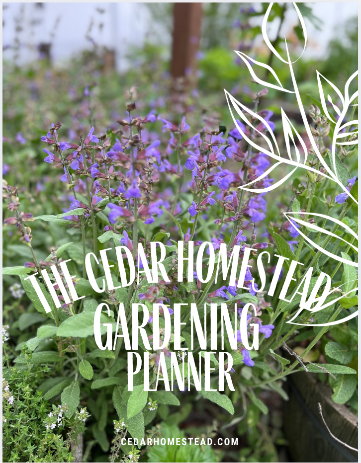 garden planner